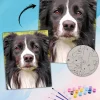 Custom Paint By Numbers​ Pets