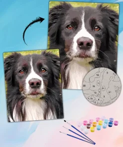 Custom Paint By Numbers​ Pets