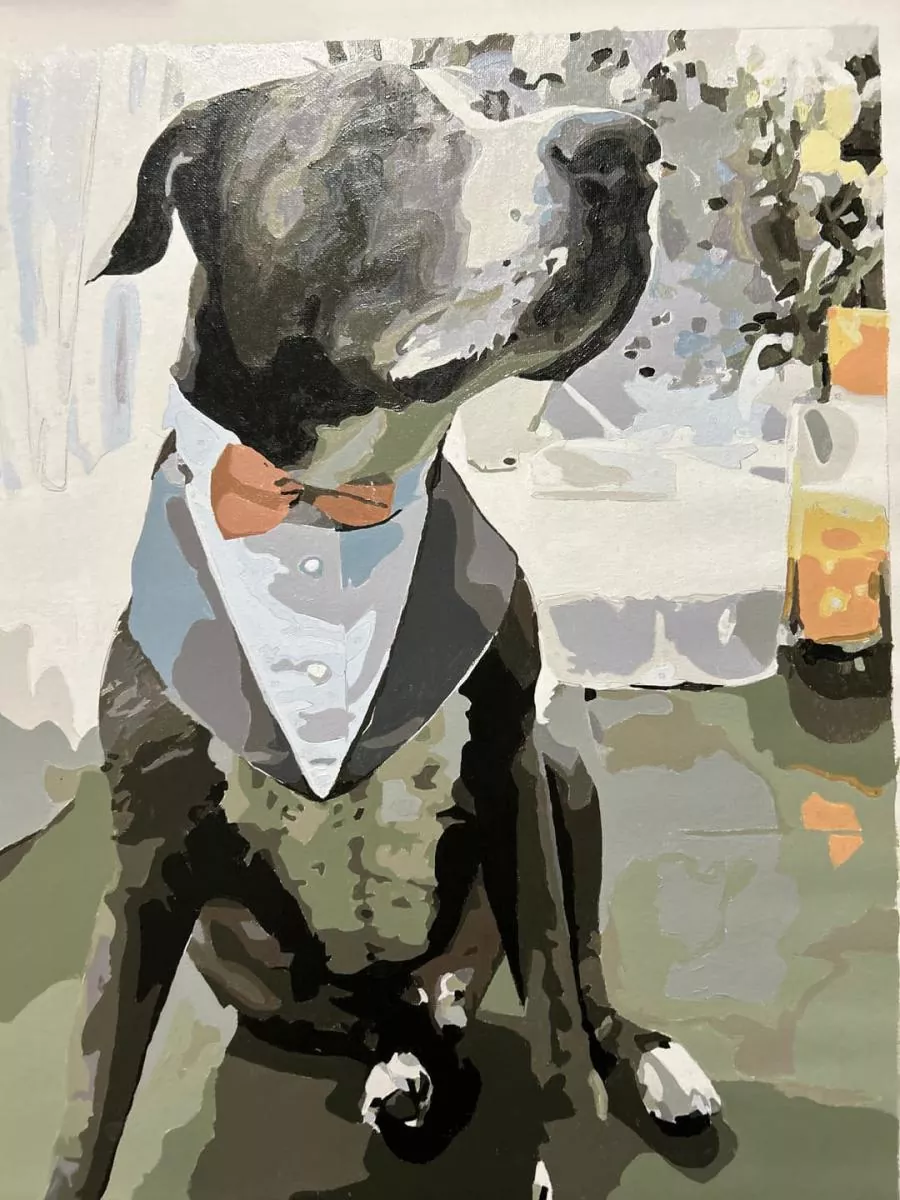 Custom Paint By Numbers​ Pets 5