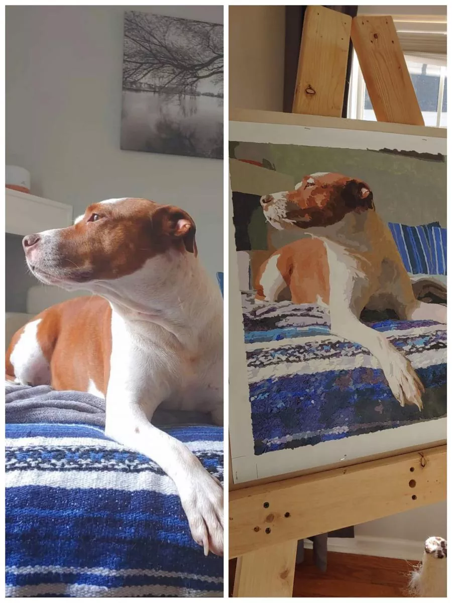 Custom Paint By Numbers​ Pets 7