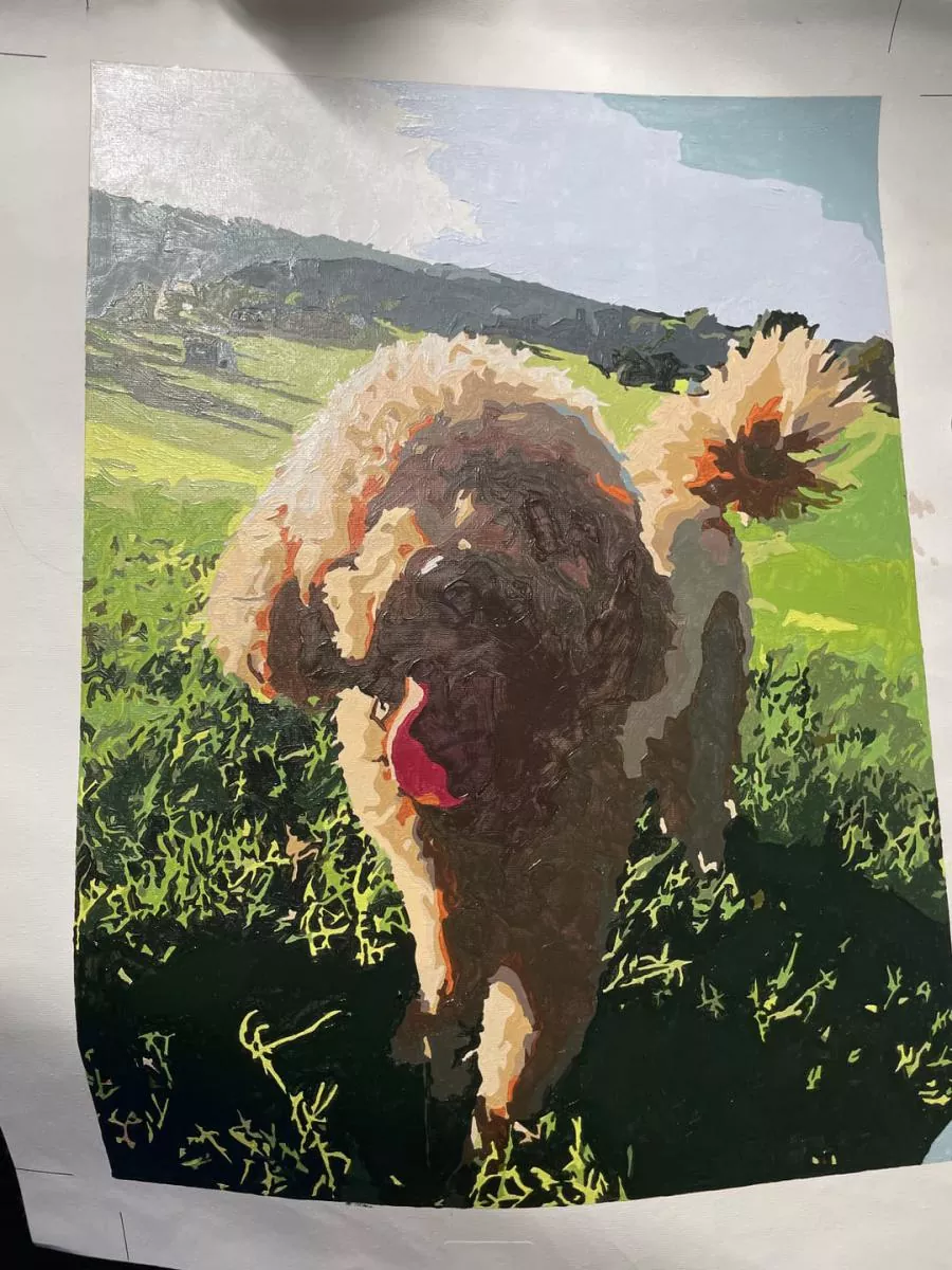Custom Paint By Numbers​ Pets 8