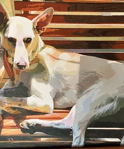 Custom Paint By Numbers​ Pets galll 1