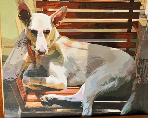 Custom Paint By Numbers​ Pets galll 1