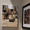 Custom Paint By Numbers​ Pets galll 2