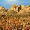 Painting By Numbers Custom Landscape gallery 3