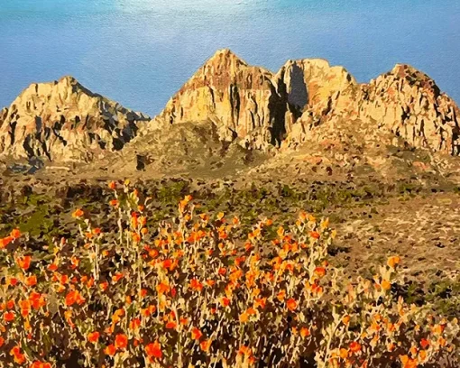 Painting By Numbers Custom Landscape gallery 3