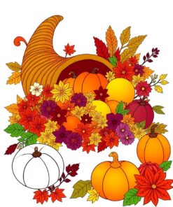 Bounty Spread Paint Numbers