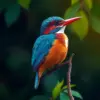 Amazonian Kingfisher paint by numbers