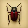 Antique Beetle Specimen Paint By Numbers