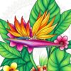 Bird Paradise Paint Numbers