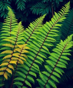 Fern Study Paint Numbers