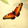 Antique Jacamar Butterfly Hunt Paint By Numbers