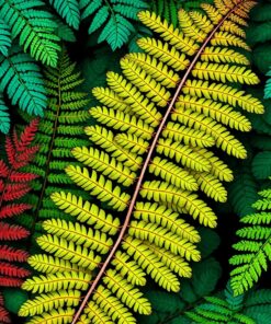 Fern Spores Paint Numbers