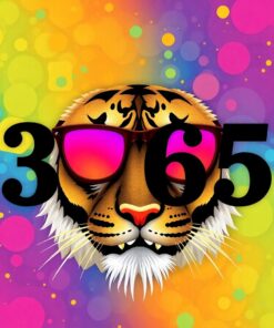 Map Drawing Paint Numbers