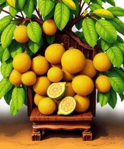 Jackfruit Display Paint Numbers