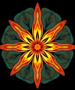 Starfish Geometry Paint Numbers