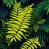 Fern Study Paint Numbers