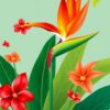 Tropical Strelitzia Paint Numbers