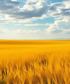 Awakening Golden Grasslands Paint By Numbers
