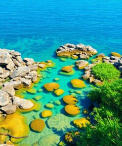 Tidal Basin Paint Numbers