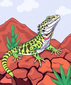 Rock Lizard Paint Numbers