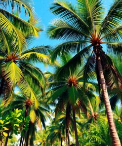 Tropical Palms Paint Numbers