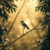 Bird In Sepia Canopy Paint By Numbers