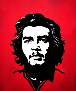 Black And White Che Guevara Paint By Numbers