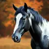 Black And White Horse paint by numbers