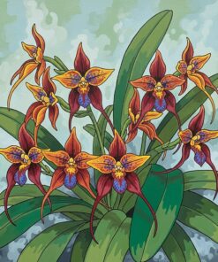 Blooming Masdevallia In Mist Paint By Numbers