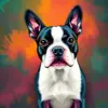 Boston Terrier Dog Animals Paint By Numbers