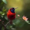 Botanical Crimson Sunbird Paint by Numbers