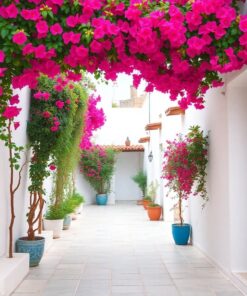 White Path Paint Numbers