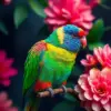 Bright Lorikeet Faded Blooms Paint By Numbers