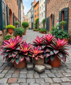 Weathered Cobblestones Paint Numbers