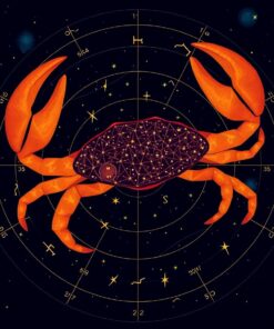 Star Chart Paint Numbers