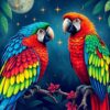 Macaw Duo Paint Numbers