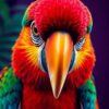 Macaw Gaze Paint Numbers