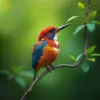 Classic Amazonian Kingfisher Paint By Numbers