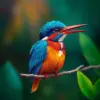 Classic Amazonian Kingfisher Paint By Numbers