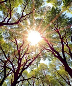 Sun Rays Paint Numbers