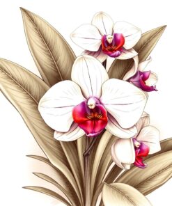 Orchid Drawing Paint Numbers