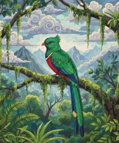 Cloud Forest Quetzal Landscape Paint By Numbers