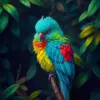 Cloud Forest Quetzal paint by numbers