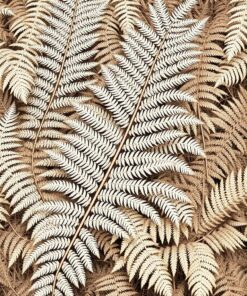 Sepia Study Paint Numbers