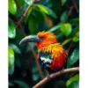 Concealed Tropical Canopy Hoatzin Paint By Numbers