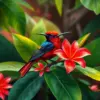 Crimson Sunbird Tropical Bloom Paint By Numbers