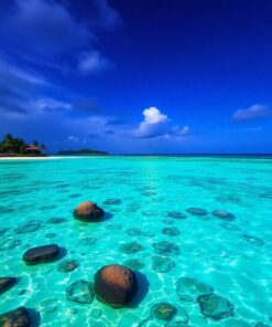 Tropical Shores Paint Numbers