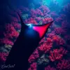 Deep Coral Manta Shadow paint by numbers