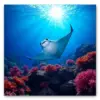 Deep Coral Manta Shadow Paint By Numbers